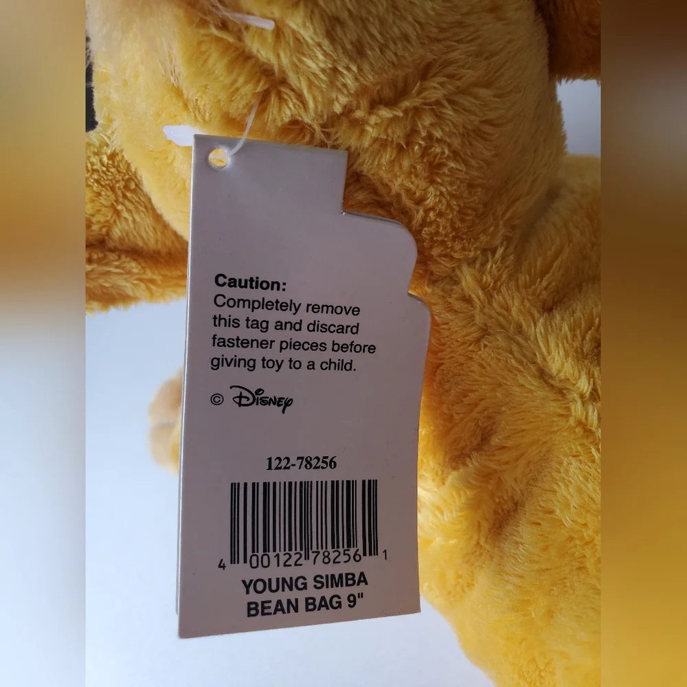 Walt Disney World | The Lion King | Young Simba 9